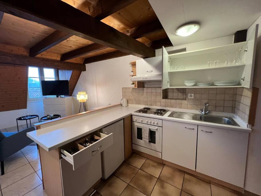 Charmant Appartement En Duplex A Porrentruy Εξωτερικό φωτογραφία