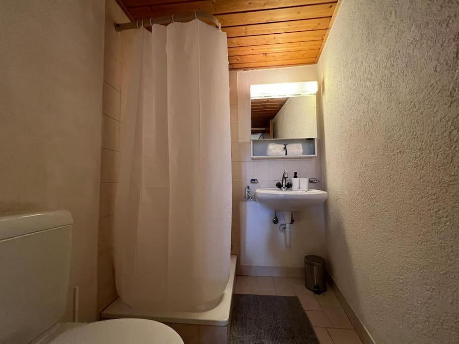 Charmant Appartement En Duplex A Porrentruy Εξωτερικό φωτογραφία